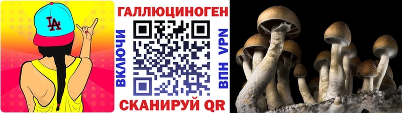 Псилоцибиновые грибы Cubensis  Мичуринск 