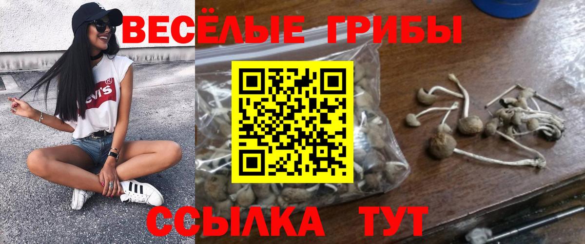 Псилоцибиновые грибы мухоморы Мичуринск