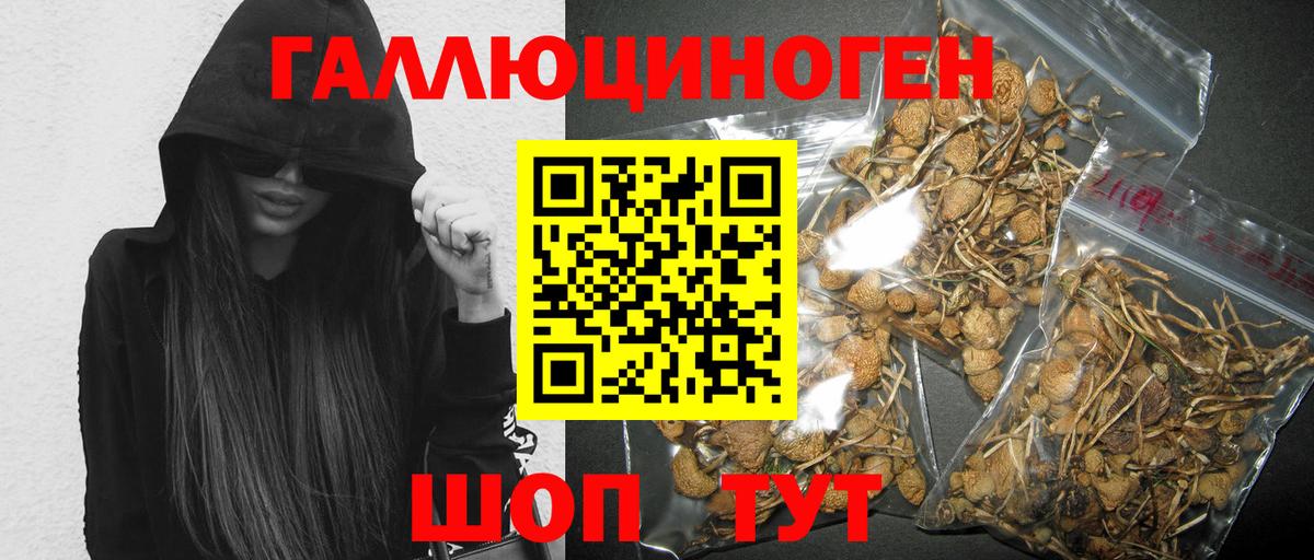купить   Вход с VPN  Мичуринск  Псилоцибиновые грибы мицелий 